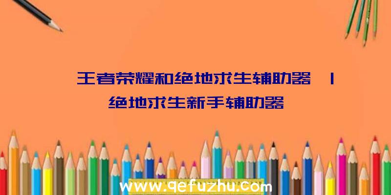 「王者荣耀和绝地求生辅助器」|绝地求生新手辅助器